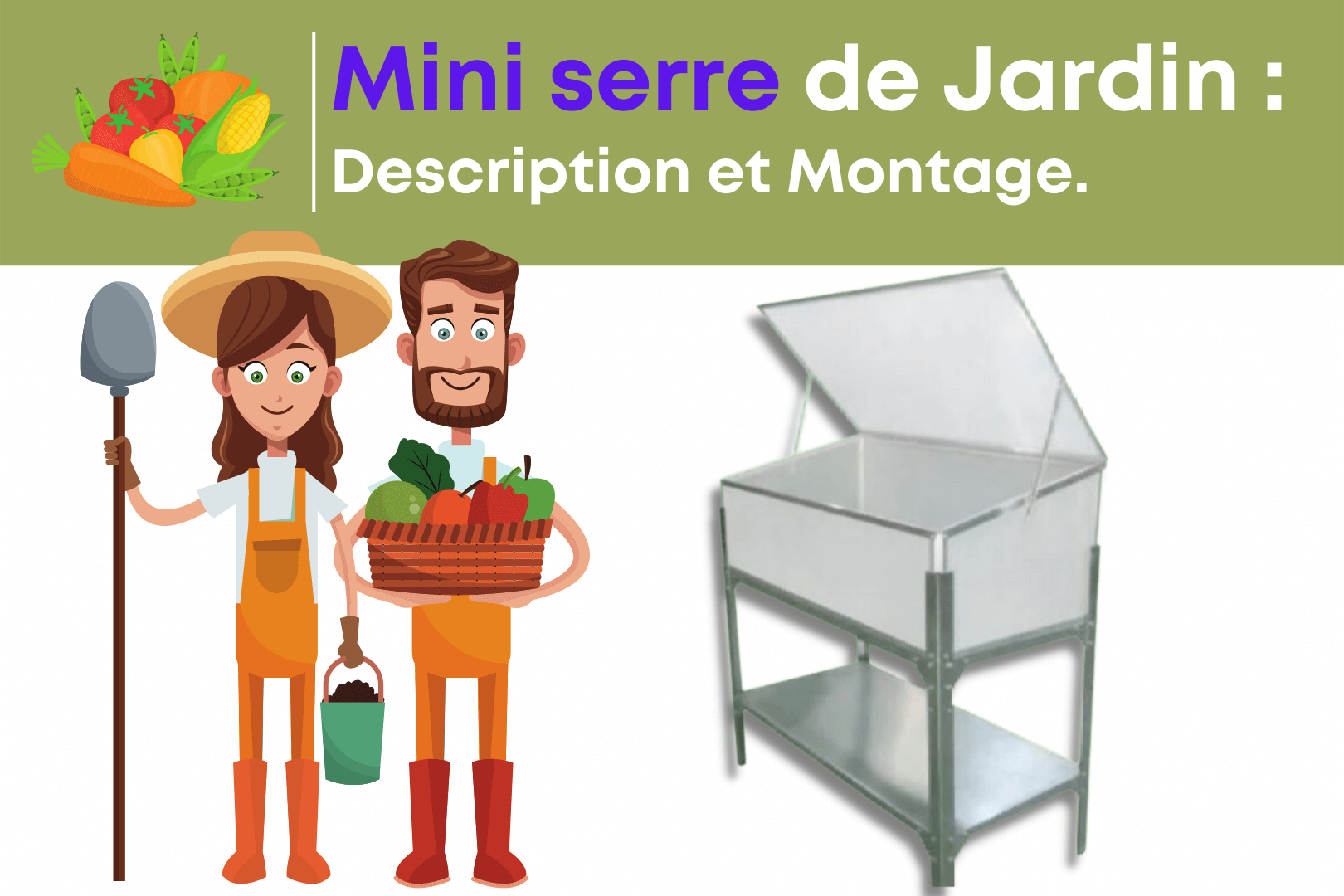 Mini serre de jardin, description et montage.