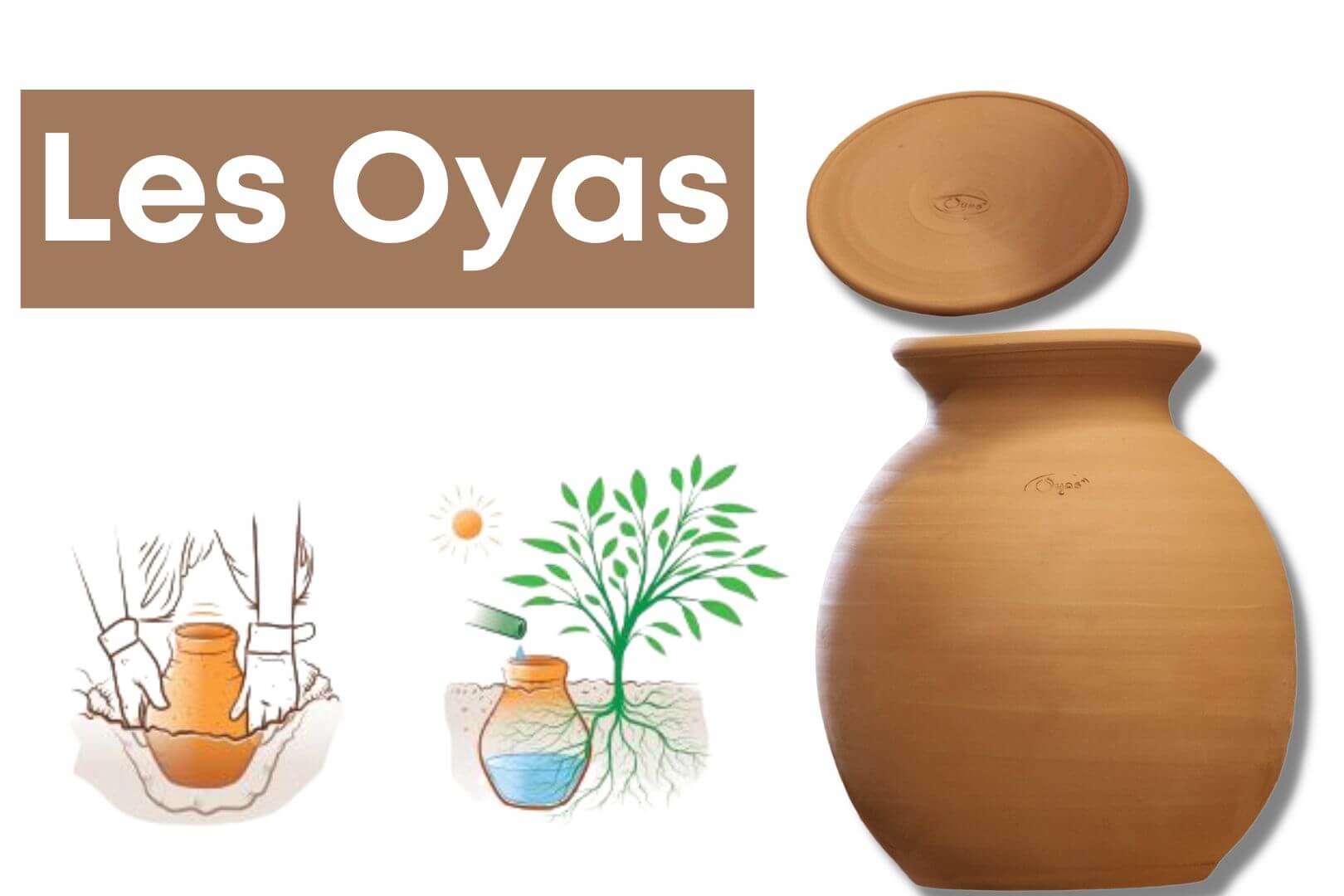 OYAS : le système d'arrosage autonome écologique produit en Cœur d'Hérault  de façon artisanale, locale et éthique