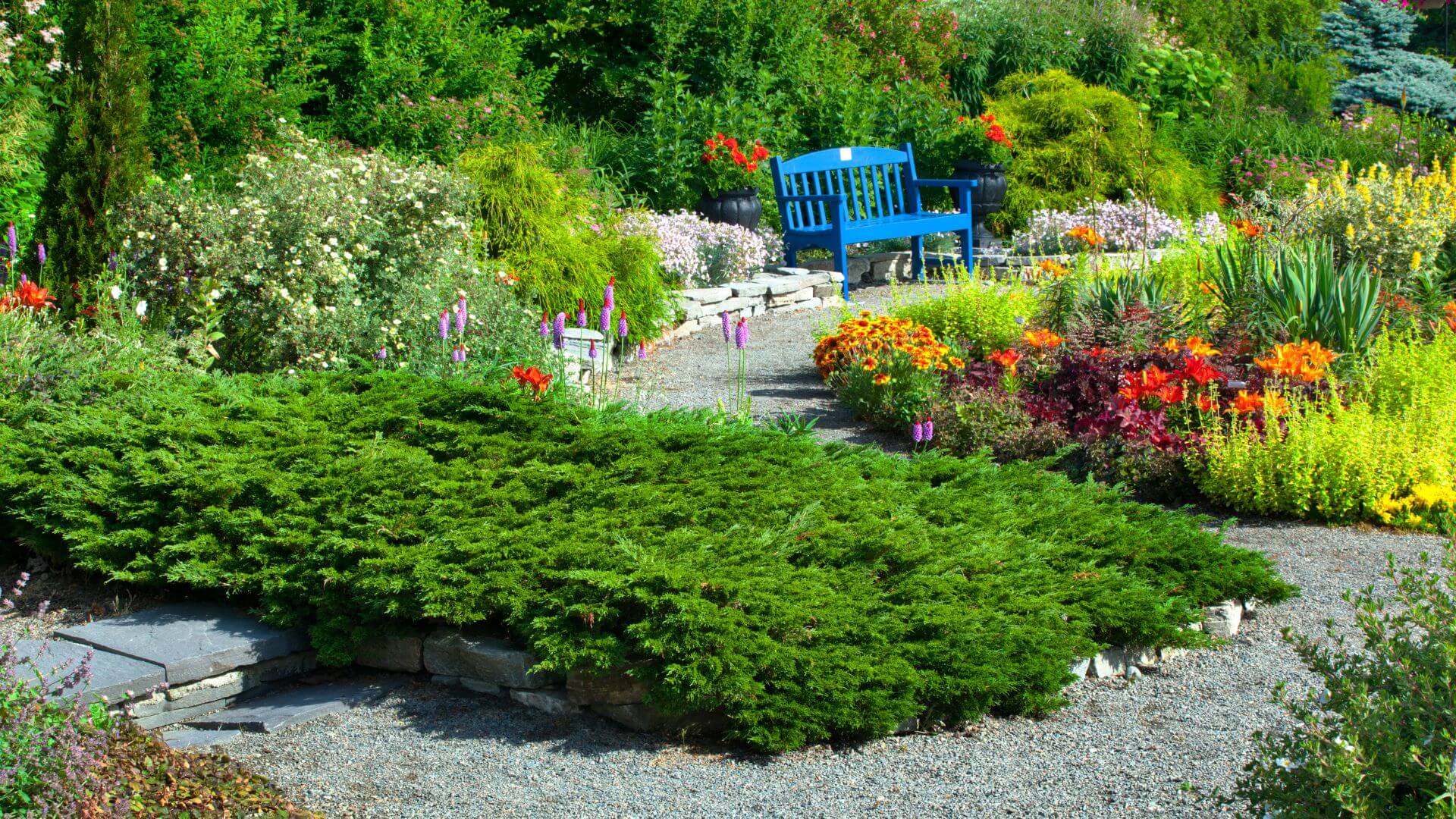 Comment faire un jardin sec