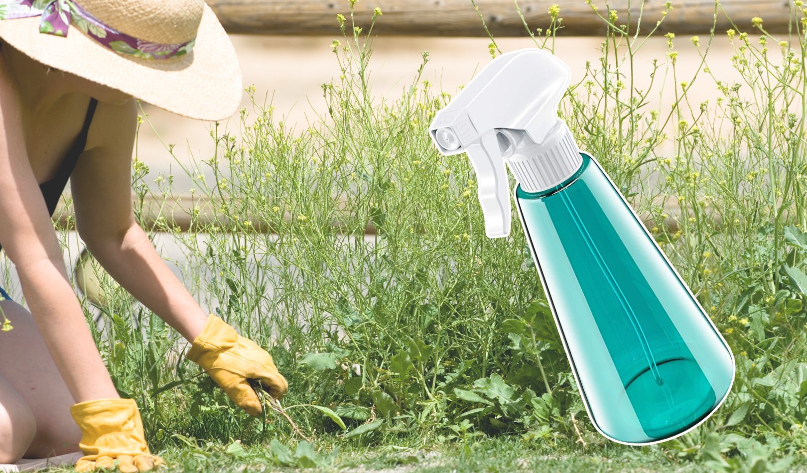 Désherbant écologique et économique pour votre jardin