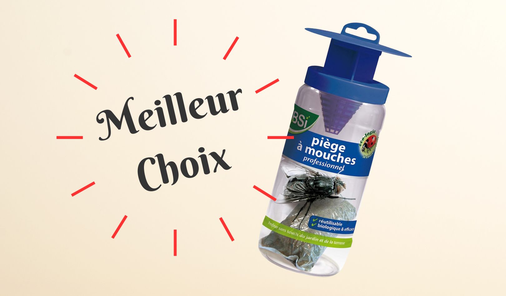Invasion de Mouches le Meilleur piège écologique
